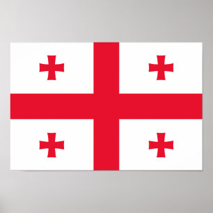 Georgia Flag Poster