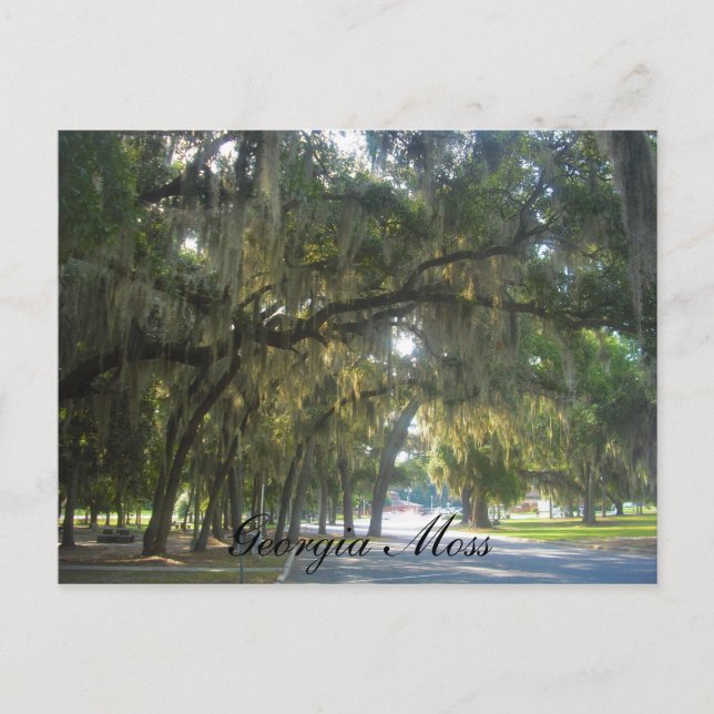 Georgia Moss Postcard (Front)