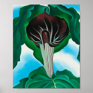 georgia okeeffe, art,  poster