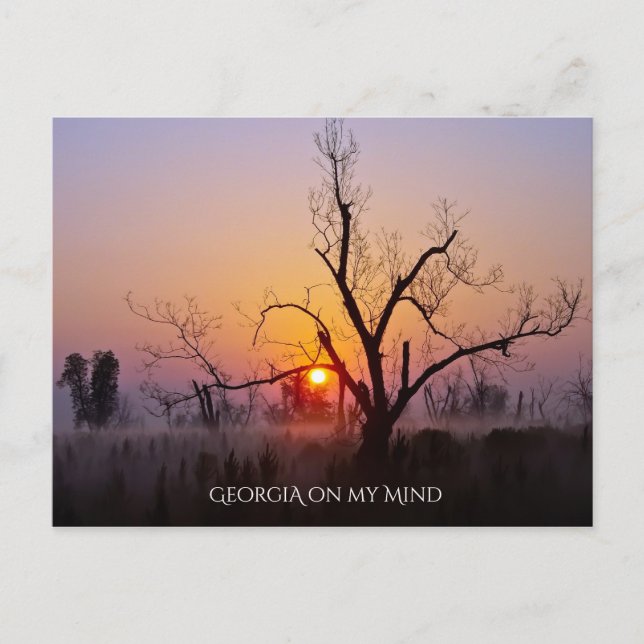 Georgia on my Mind Postcard (Front)