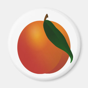 Georgia Peach / Apricot Magnet