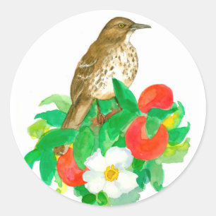 Georgia Peach State Bird White Roses Classic Round Sticker