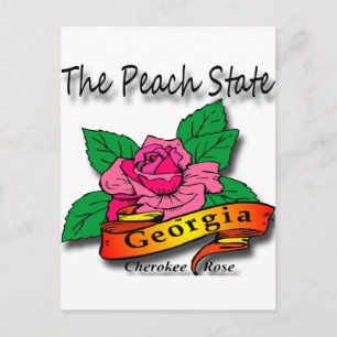 Georgia Peach State Cherokee Rose Postcard