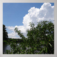 Georgia Peach Tree Fluffy White Clouds