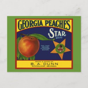 Georgia Peaches Postcard