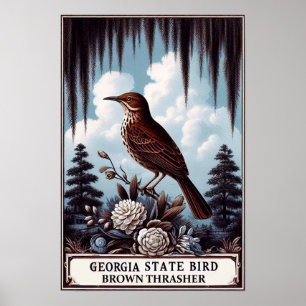 Georgia State Bird - Brown Thrasher Vintage Poster