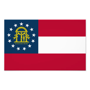 Georgia State Flag Photo Print