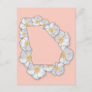 Georgia State Flower - Cherokee Rose Postcard
