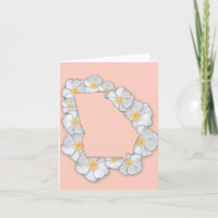 Georgia State Flower - Cherokee Rose