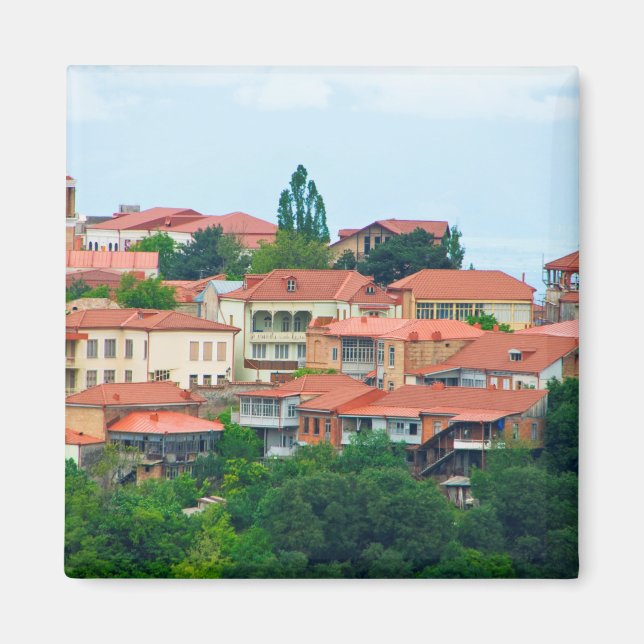 Georgia Town Landscape Magnet (Front)