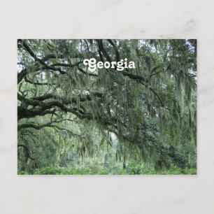 Georgia Trees Postcard