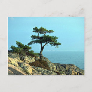 Georgian Bay Shoreline, Lake Huron, Ontario, Canad Postcard