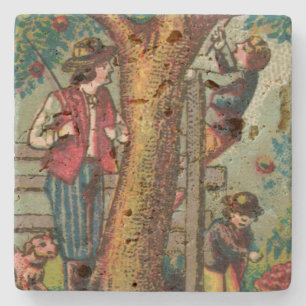 Georgian Boys Picking Apples Stone Coaster