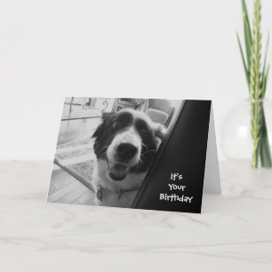 georgiapeeking, It's Your Birthday Card