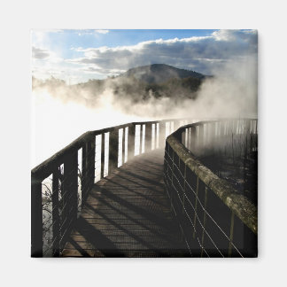 Geothermal Activity at Kuirau Park, New Zealand Magnet