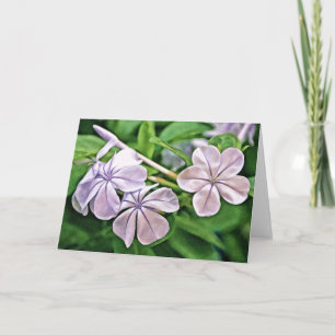 Geranium Blooms Scripture Card Ecclesiastes 3:1