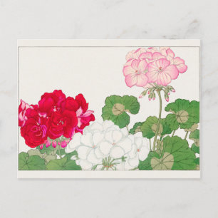 Geranium by Tanigami Konan Postcard