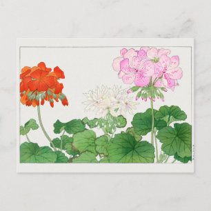 Geranium by Tanigami Konan Postcard