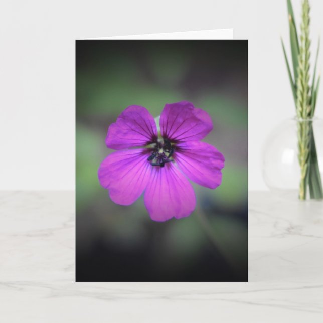 Geranium, card (Front)
