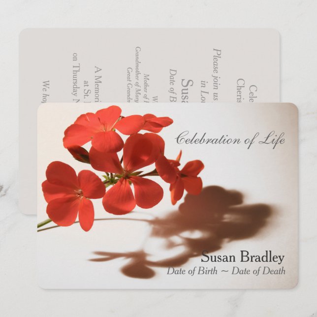 Geranium Celebration of Life Funeral Announcement (Front/Back)