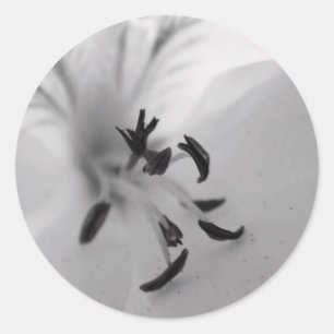 Geranium Centre Stickers B&W