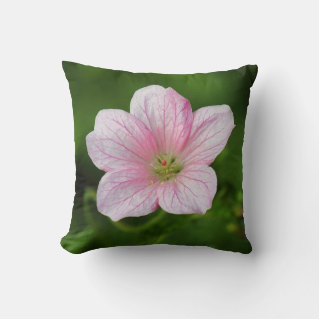 Geranium Cushion (Front)