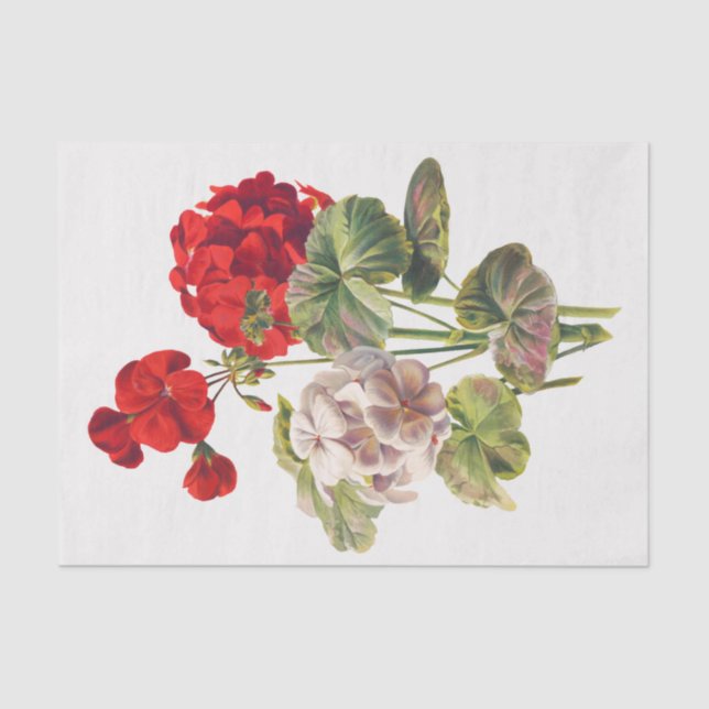 Geranium, decoupage tissue paper (Front)