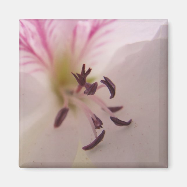Geranium Detail Magnet (Front)