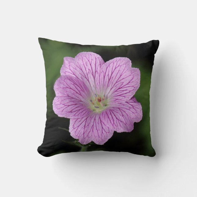 Geranium Endressii Cushion (Front)