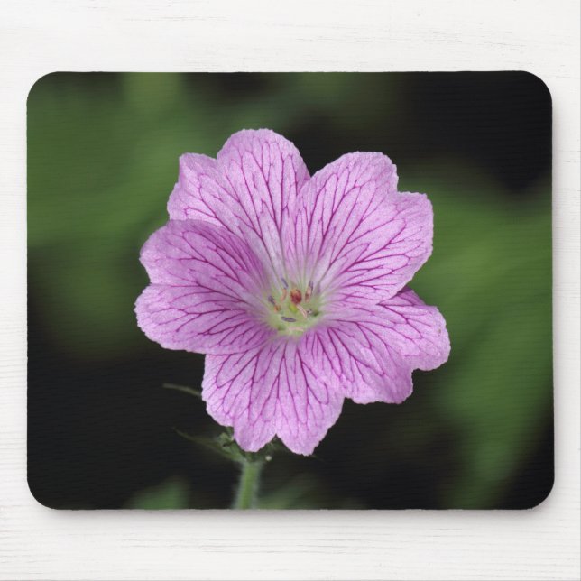 Geranium Endressii Mouse Mat (Front)