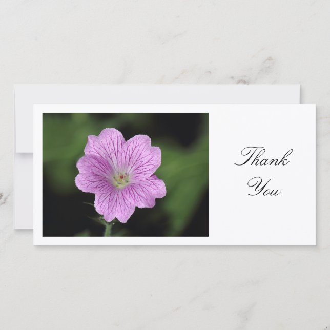 Geranium Endressii - Thank You Card (Front)