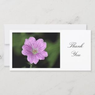 Geranium Endressii - Thank You Card