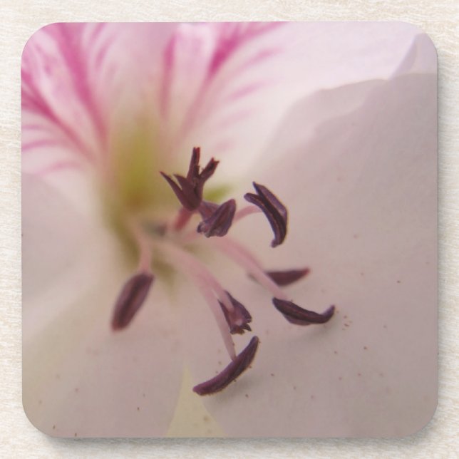 Geranium Flower Coasters (Front)