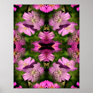 Geranium Flowers Multiplied Abstract Poster