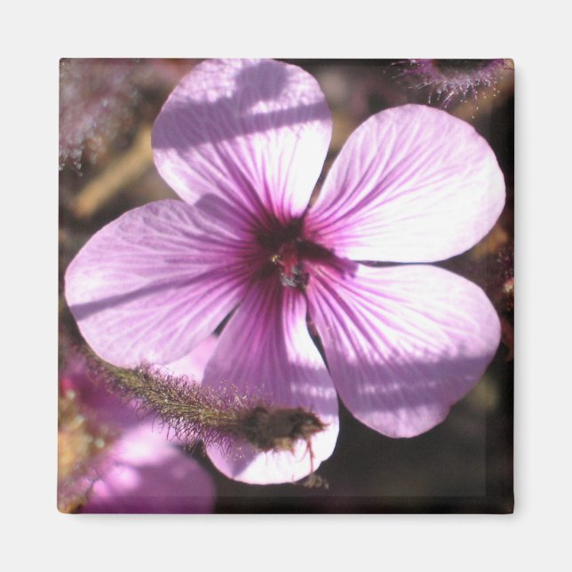 Geranium Magnet (Front)