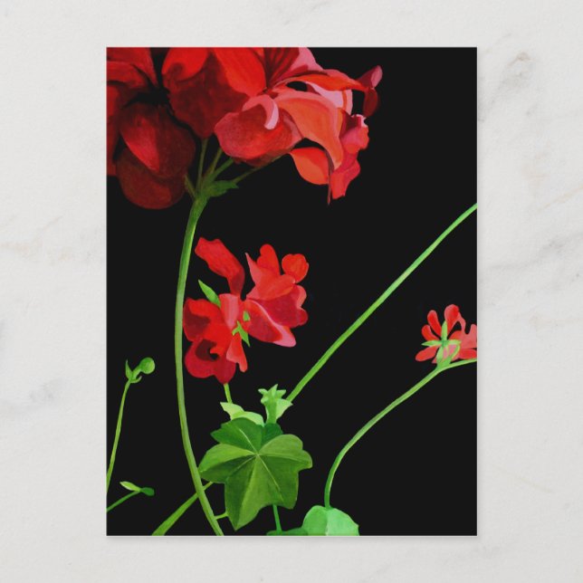 Geranium Postcard (Front)