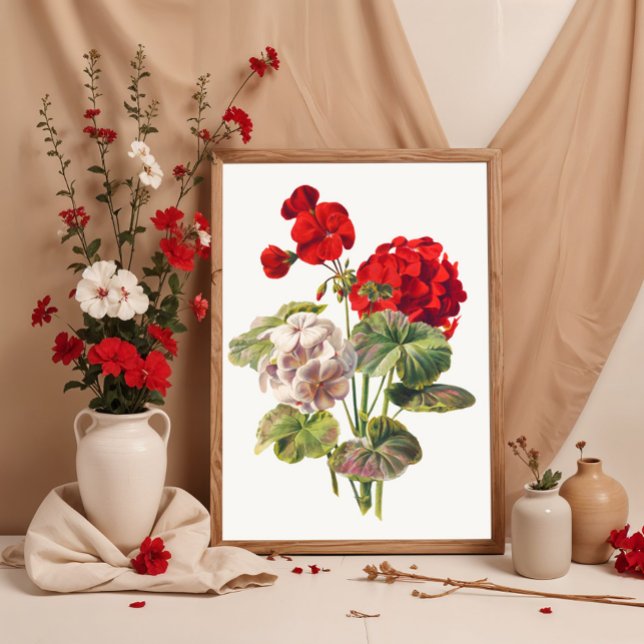 Geranium  poster (Creator Uploaded)