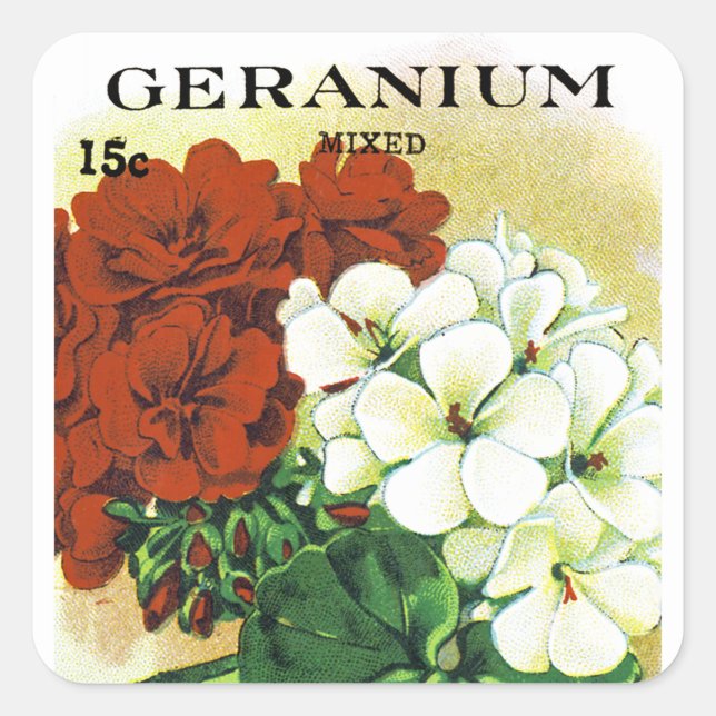 Geranium Seed Packet Label (Front)