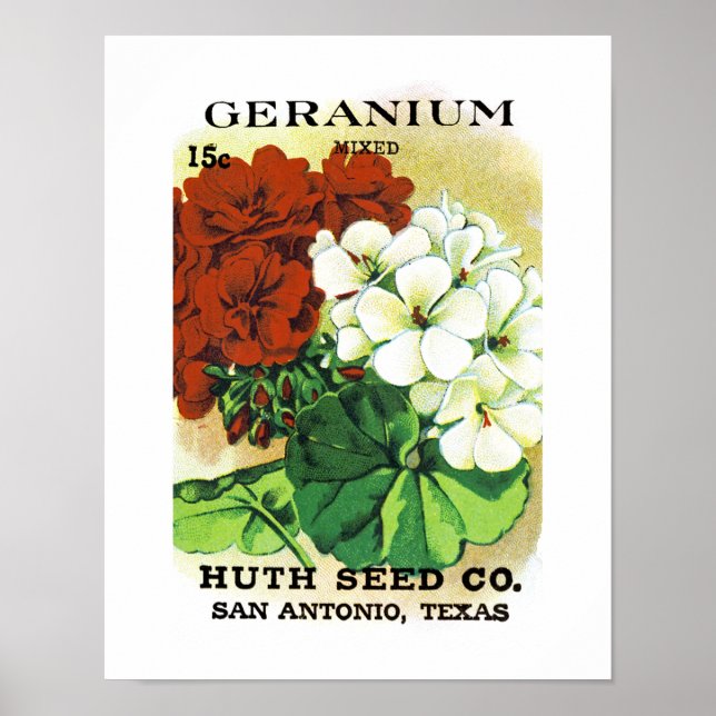 Geranium Seed Packet Label Poster (Front)