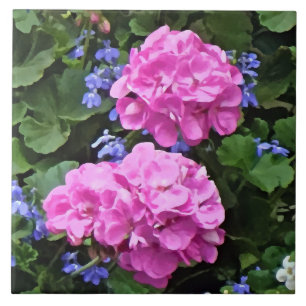 Geraniums and Periwinkle Tile