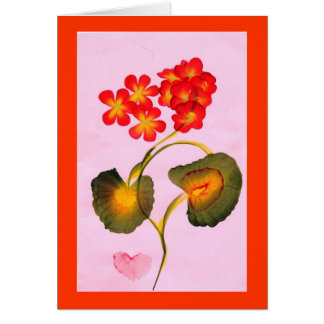 GERANIUMS Card