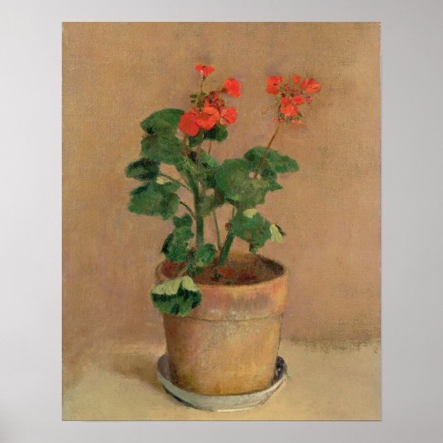 Geraniums in a Pot, c.1905 (oil on canvas) Poster (Front)