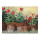 Geraniums in Pots