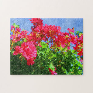 "Geraniums" puzzle