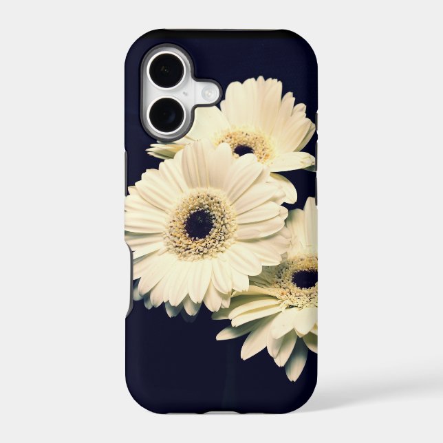 Gerber Daisies iPhone 5 Case (Back)