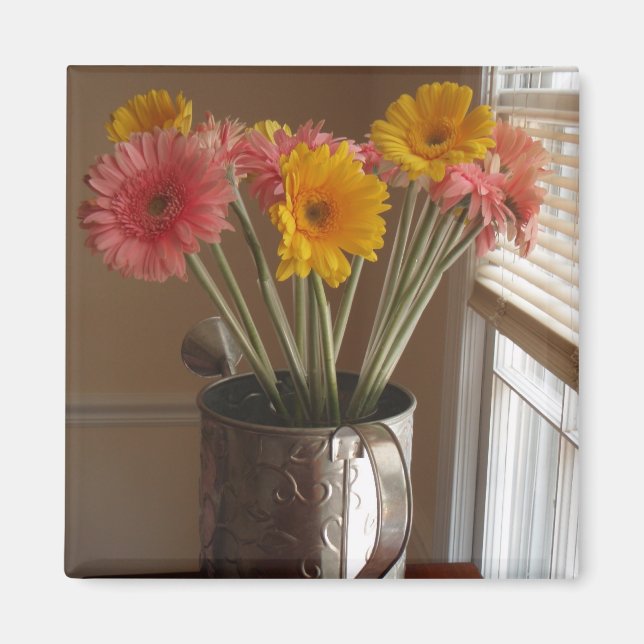 Gerber Daisies Magnet (Front)