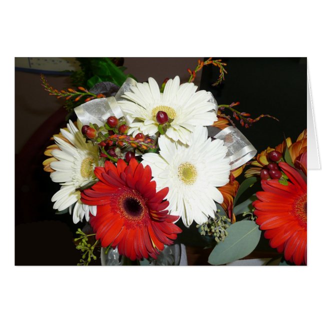 Gerber Daisy (Front Horizontal)
