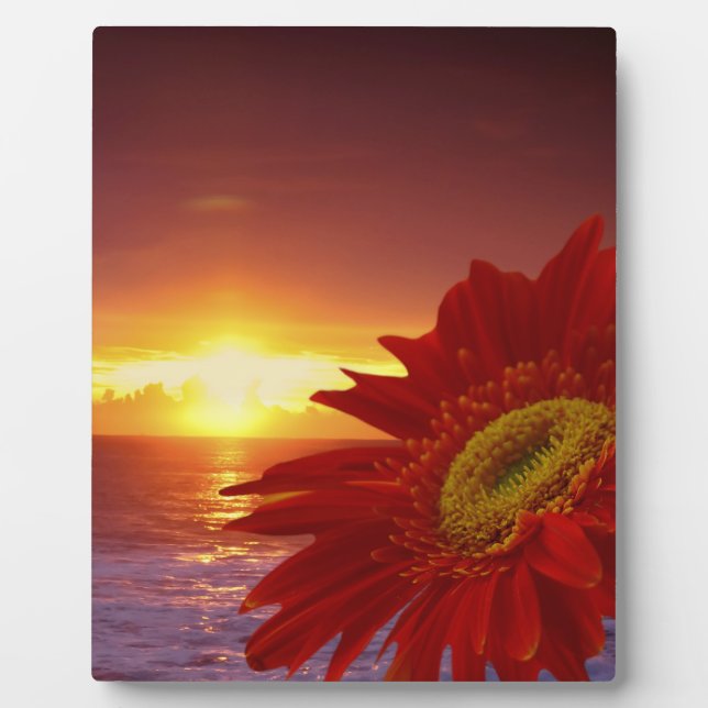 Gerber Daisy and sunset Plaque (Front)