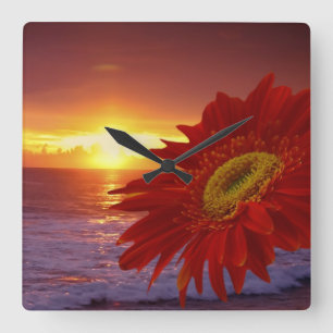 Gerber Daisy and sunset Square Wall Clock
