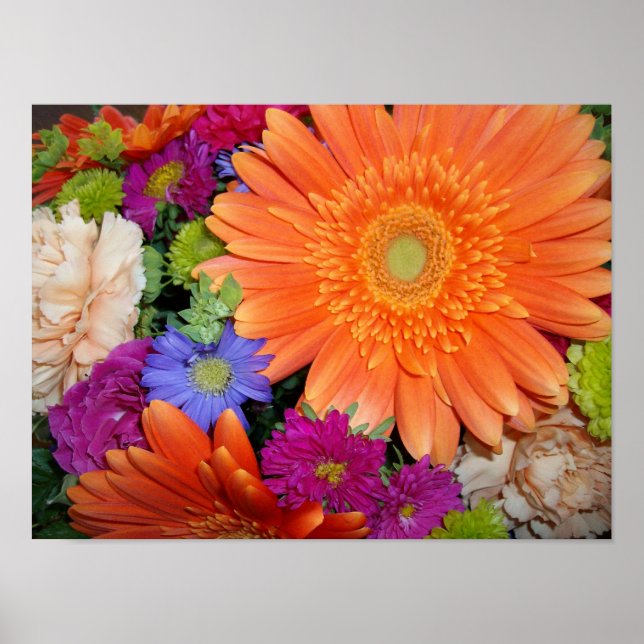 Gerber Daisy Arrangement Poster (Front)